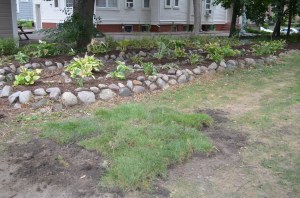 DSC_0386 - Copy - Copy - Copy - Copy - Copy