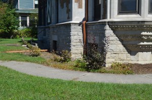 DSC_0444 - Copy - Copy